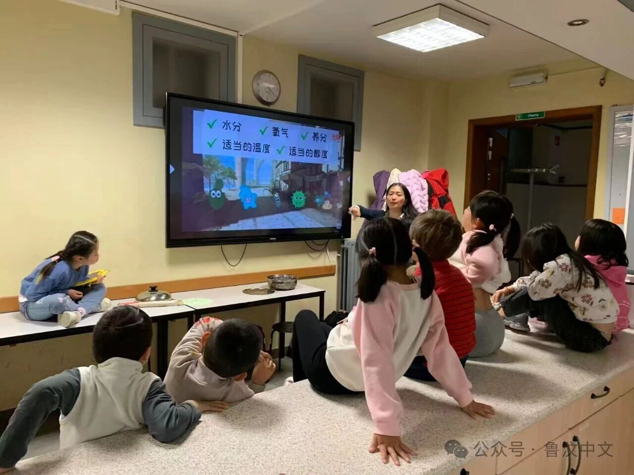 微生物小课堂