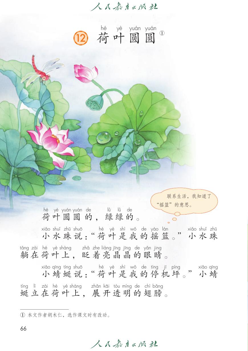 荷叶圆圆P66