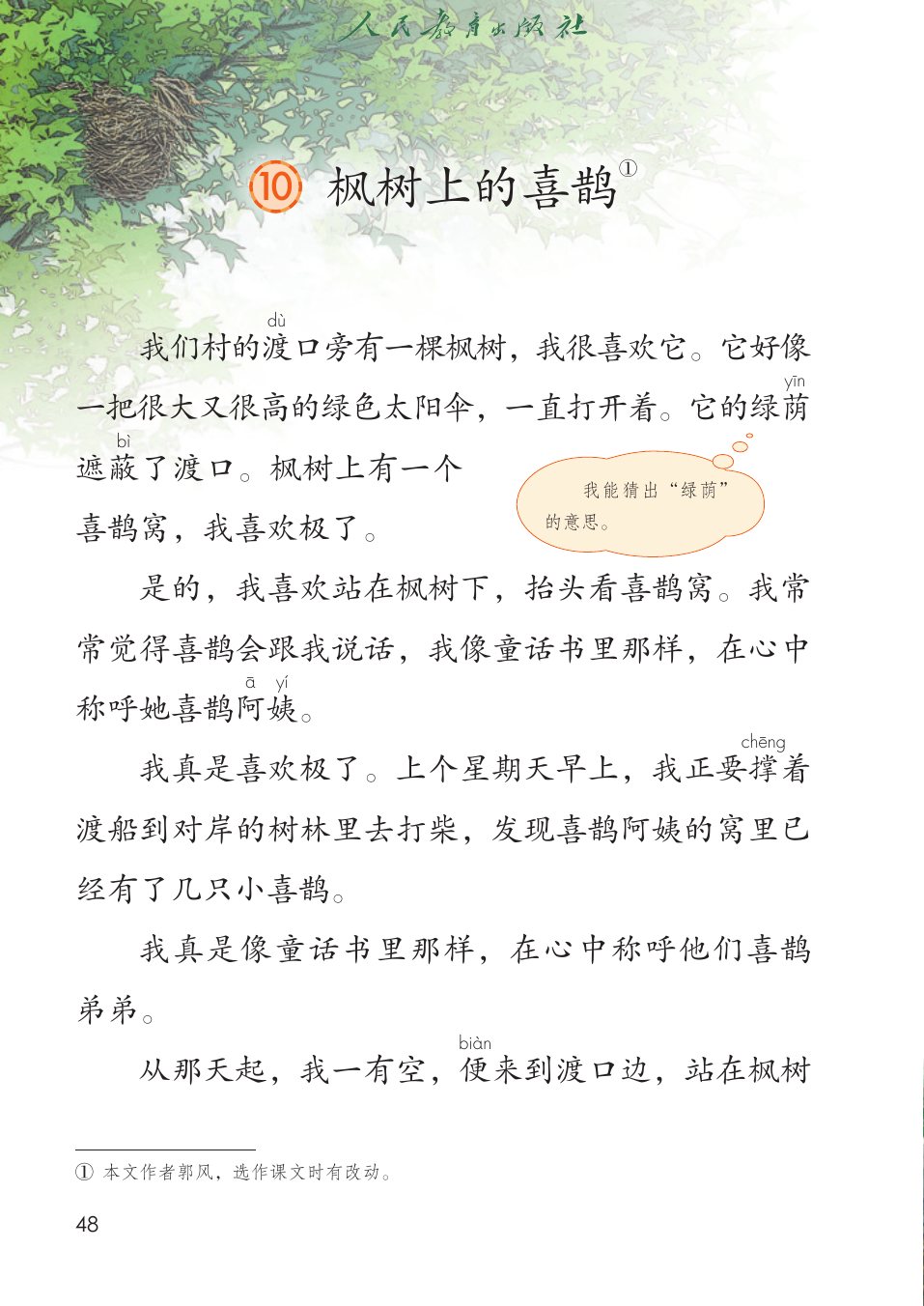 枫树上的喜鹊P48