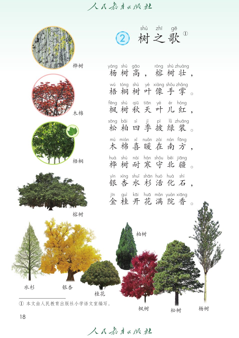 树之歌P18